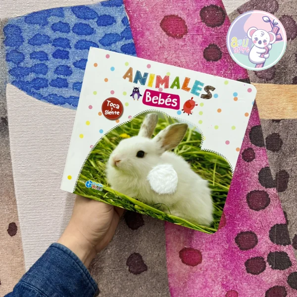 Animales bebés; toca y siente