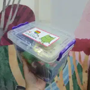 Caja sensorial 20 elementos
